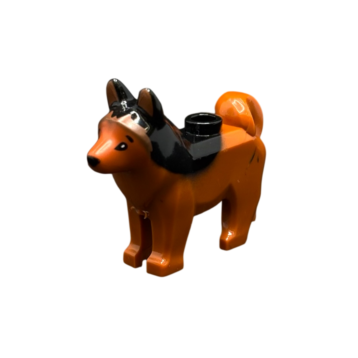 Schäferhund Hell