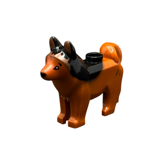 Schäferhund Hell