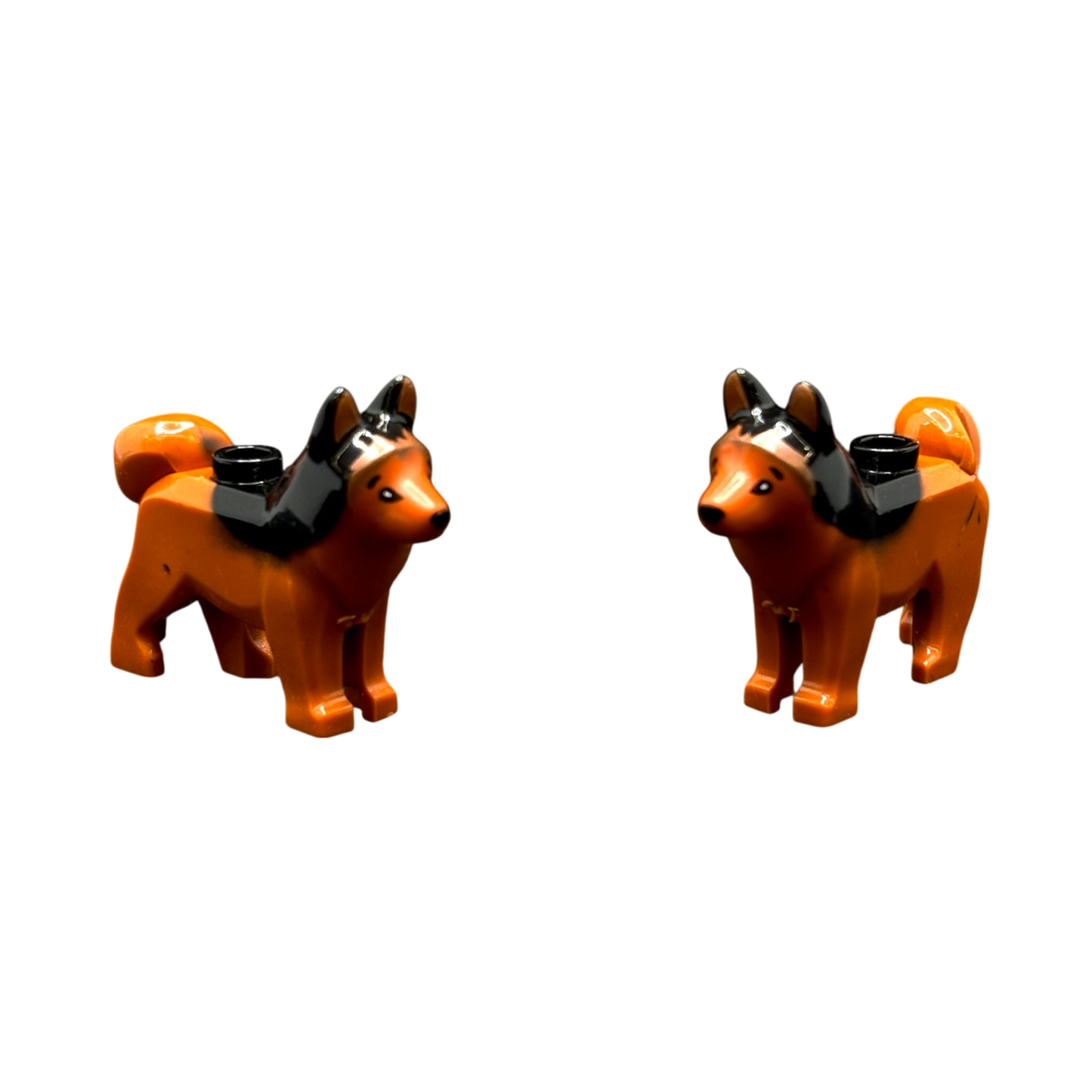 Schäferhund Hell
