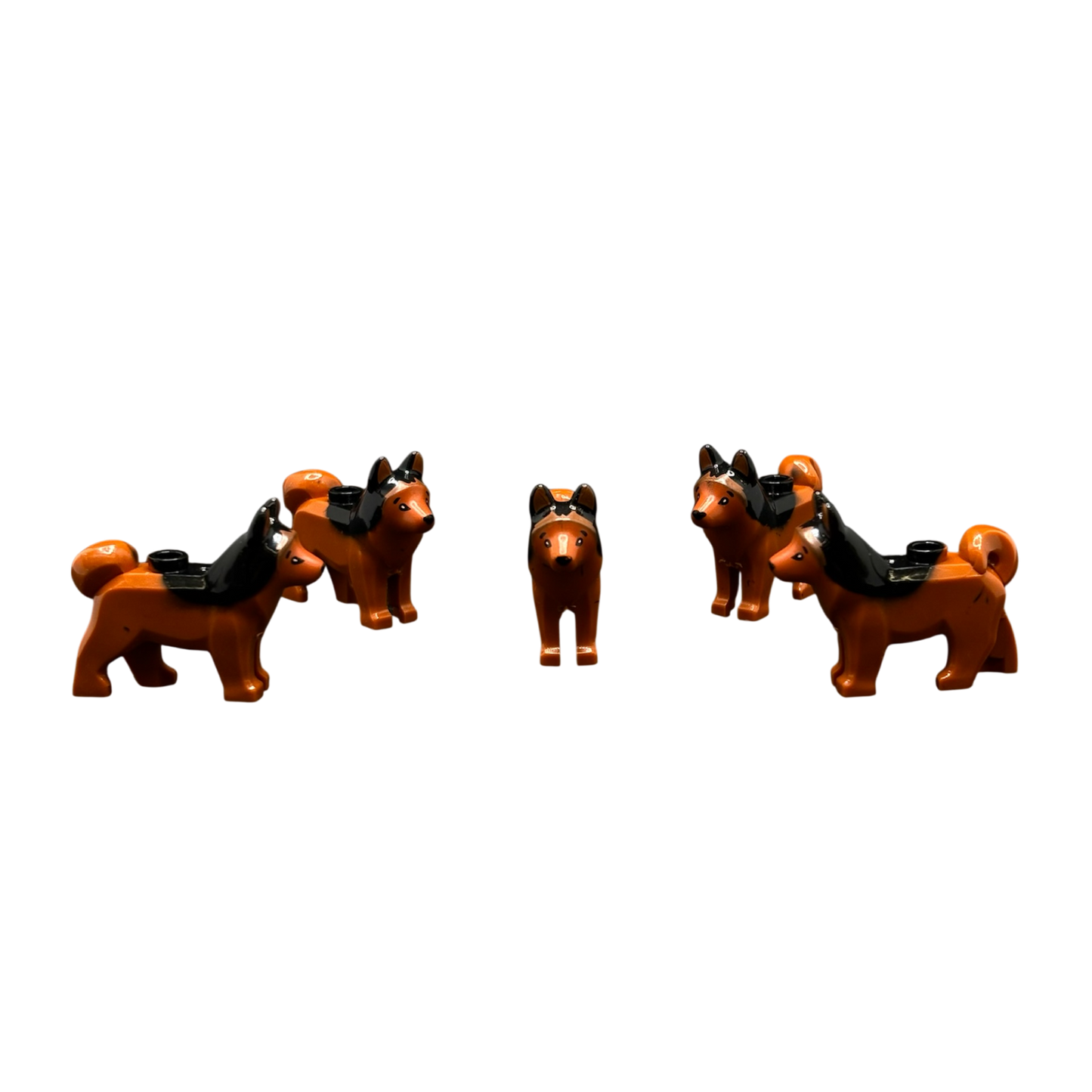 Schäferhund Hell