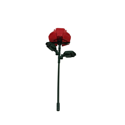 Zierblumen Bouquet