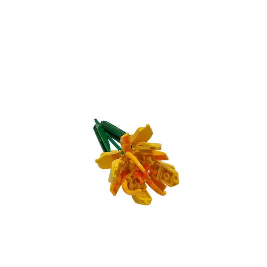 Detailansicht des Safrangelben Krokus im WOMA Blumen Bouquet, kreativ und langlebig.