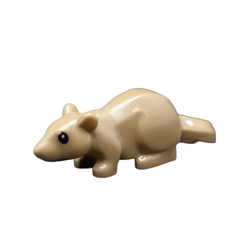 Ratte