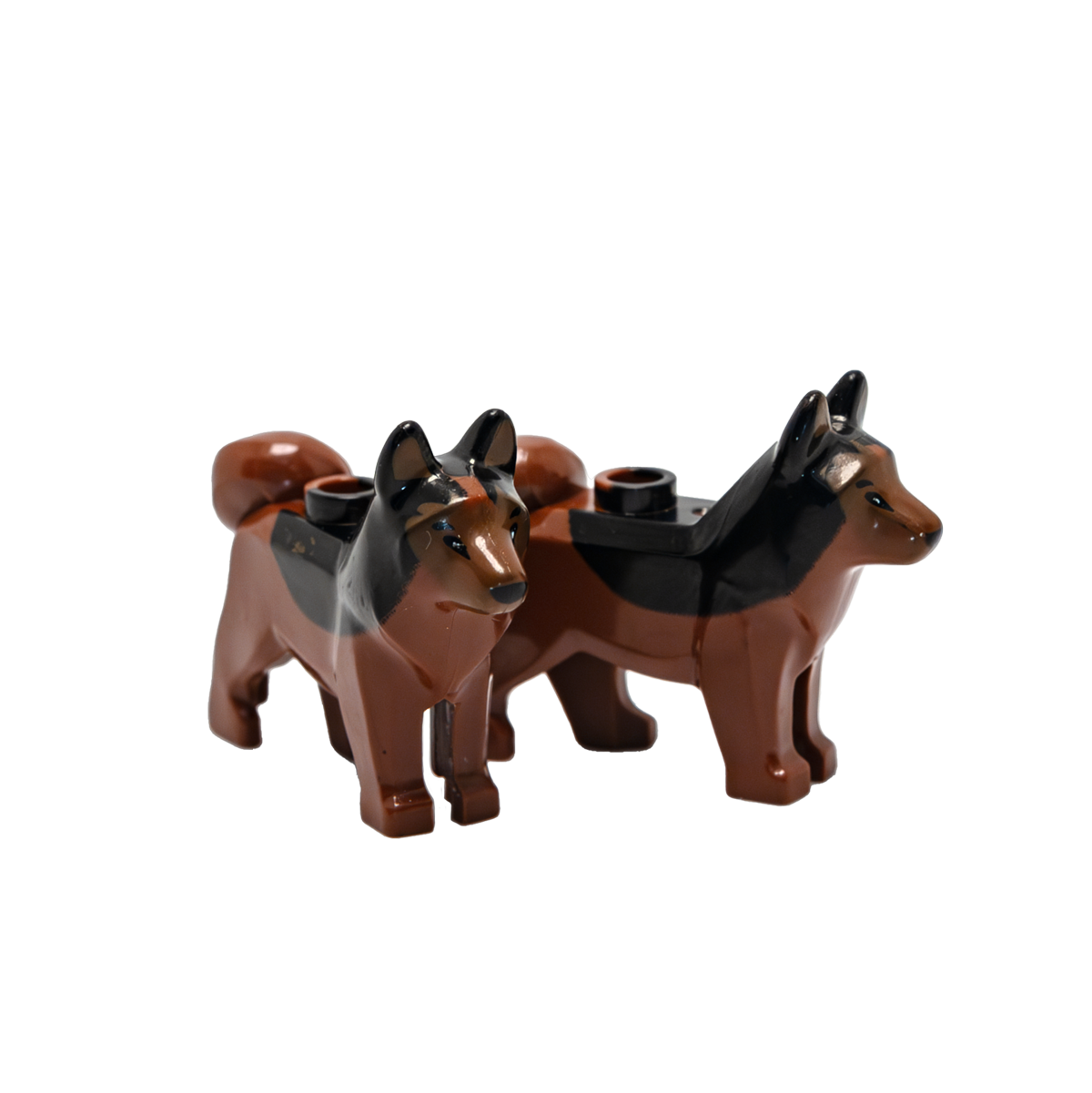 Schaeferhund - Reptim