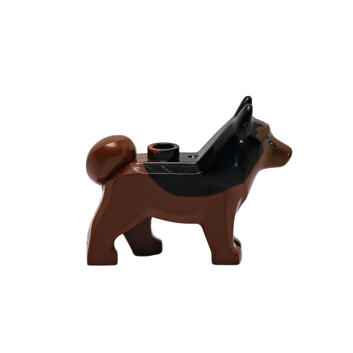 Schaeferhund - Reptim