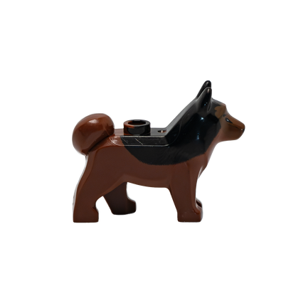 Schaeferhund - Reptim