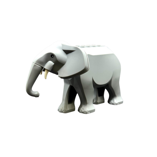 Elefant